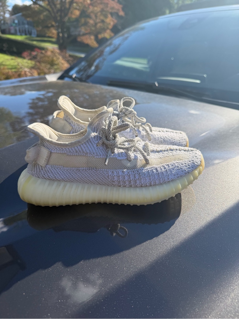 Adidas Yeezy Boost 350 V2 Low Top